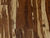 Parquets massifs certifi�s