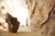 Escalade indoor : murs d'int�rieur...