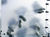 Verre tremp�