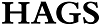 HAGS Aneby AB