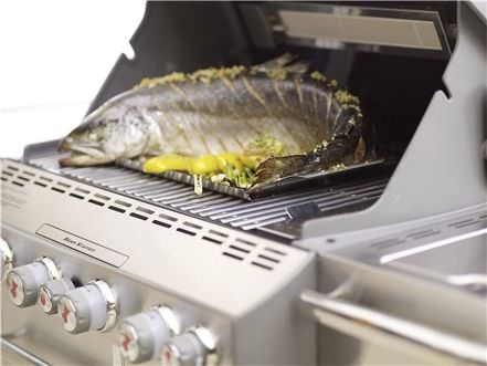 barbecue weber s 670