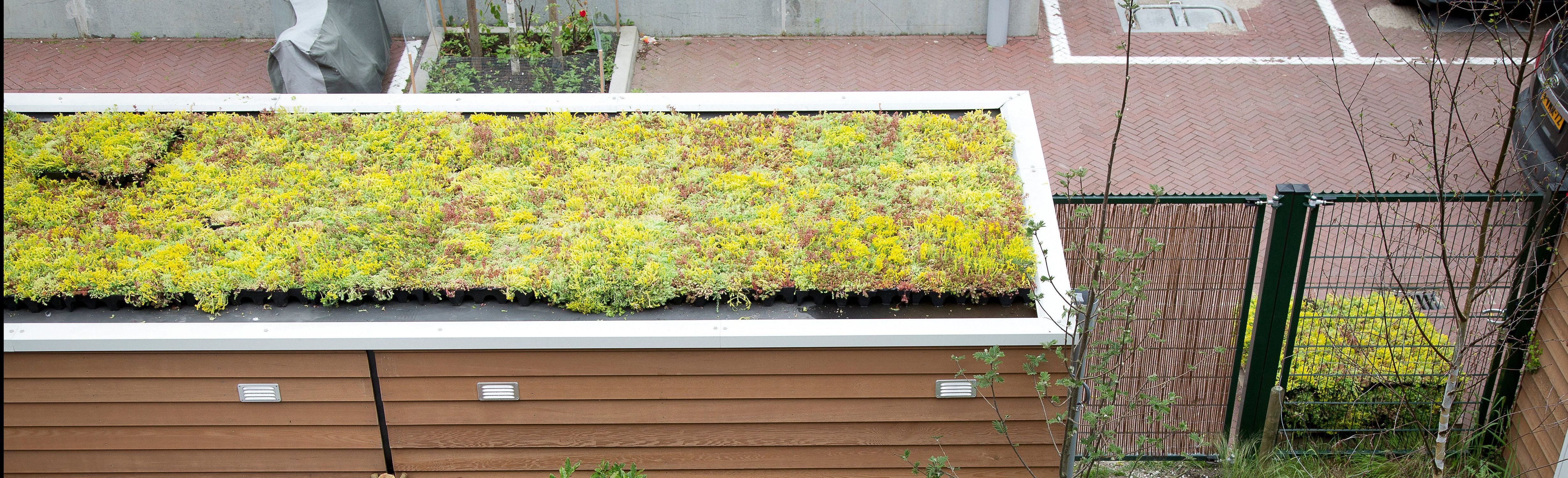 Toiture V G Talis E Extensive Sedum Roofs Hedera Screens Pour