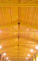 panneau sandwich structurel : bois  Lanik