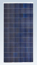 panneau solaire photovolta&iuml;que polycristallin SF156&times;156-72-P Zhejiang Sunflower Light Energy Science & Technology Limited Liability Company 