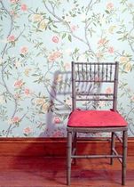 papier peint : motif floral NATIONAL TRUST II ZOFFANY