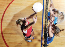 sol sportif en bois pour salle multisports MAPLE PG Model