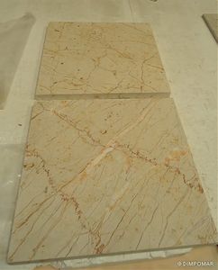carrelage d'intérieur / d'extérieur / de sol / mural