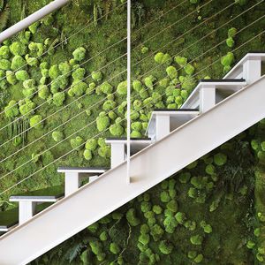 mur végétal stabilisé / en panneau modulaire / naturel / d'intérieur