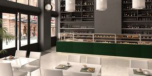 vitrine chauffante comptoir / à pozzetti / pour commerce