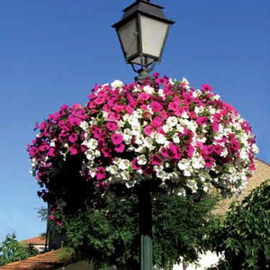 jardinière en polyéthylène / contemporaine / pour espace public