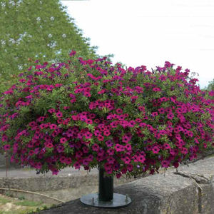 jardinière en polyéthylène / contemporaine / pour espace public