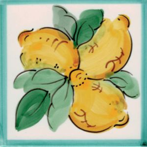 carrelage d'intérieur / d'extérieur / mural / pour sol