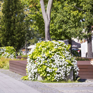 jardinière en acier galvanisé / ronde / contemporaine / pour espace public