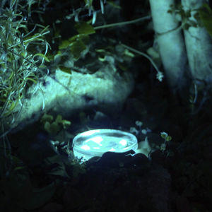 luminaire encastrable / LED RGBW / rond / d'extérieur