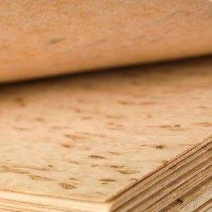 placage en bois / flexible