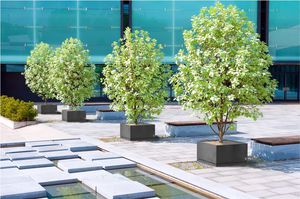 jardinière en béton / rectangulaire / carrée / contemporaine