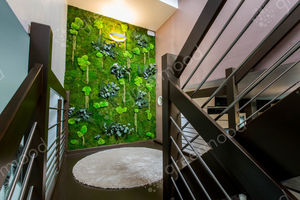 mur végétal stabilisé / d'intérieur