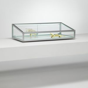 vitrine contemporaine / sur plan / en verre / en aluminium