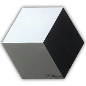 carreau ciment d'intérieur / au sol / mural / hexagonal