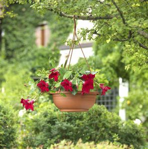 pot de jardin en plastique / suspendu / rond