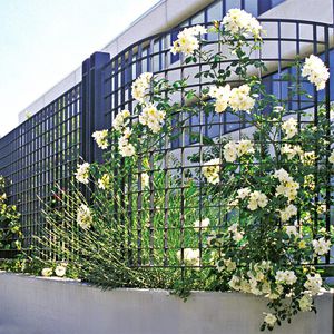 clôture pour espaces verts / en grille / en acier galvanisé / de haute sécurité