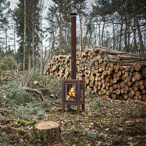 cheminée de jardin / à bois / traditionnelle / à foyer fermé