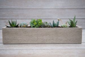 jardinière en terracotta / rectangulaire / contemporaine / pour espace public