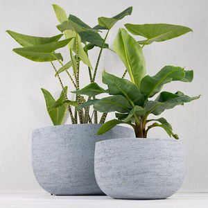 pot de jardin en terracotta / à poser / rond