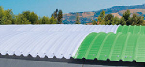 panneau en polycarbonate pour shed / de toiture / translucide / courbé