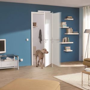 automatisme pour porte battante