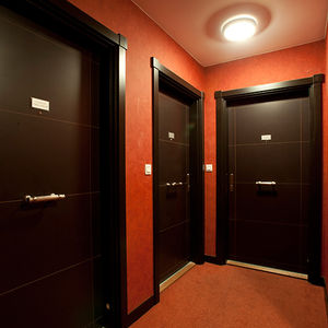 porte d'intérieur / battante / en bois / acoustique