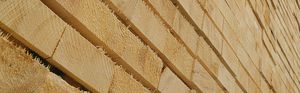 panneau contreplaqué de construction / pour agencement intérieur