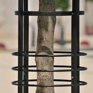 corset d'arbre en acier
