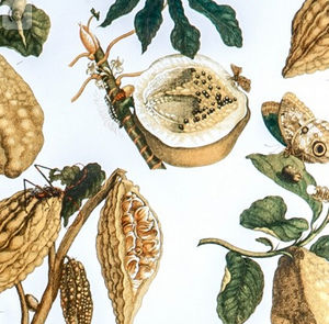 papiers peints classiques / motif nature