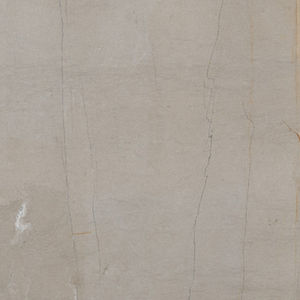 carrelage d'intérieur / d'extérieur / mural / pour sol