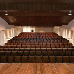 panneau acoustique pour plafond / pour faux-plafond / pour panneaux / en bois