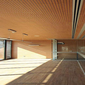 panneau acoustique pour agencement intérieur / en bois / perforé / professionnel