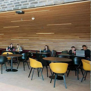 faux-plafond en bois / en lames / acoustique / ignifuge