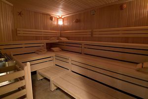 sauna finlandais / résidentiel