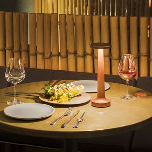 lampe de table / contemporaine / en métal / sans fil