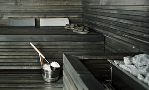sauna finlandais / professionnel / pour intérieur