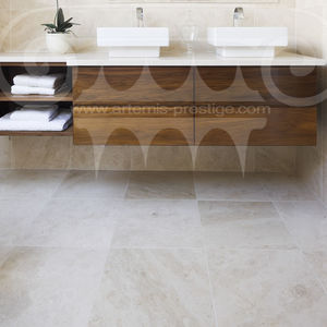 carrelage d'intérieur / d'extérieur / de salle de bain / de salon