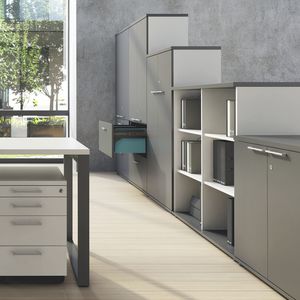 armoire de classement basse / haute / en métal / avec porte battante