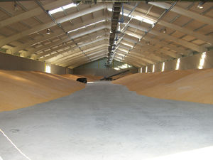 panneau en polycarbonate pour toiture / translucide / isolant