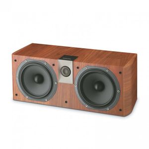 enceinte centrale / en bois