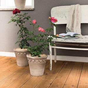 pot de jardin en terracotta / conique / rond