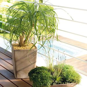 pot de jardin en terracotta / conique / carré