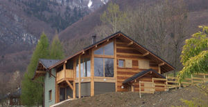 bardage en bois / rainuré / en lames