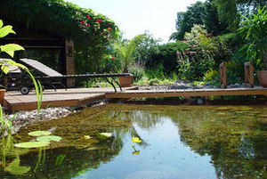 piscine enterrée / en pierre / naturelle / d'extérieur