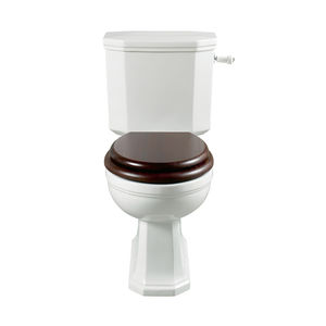 toilettes monobloc / en porcelaine / avec manette